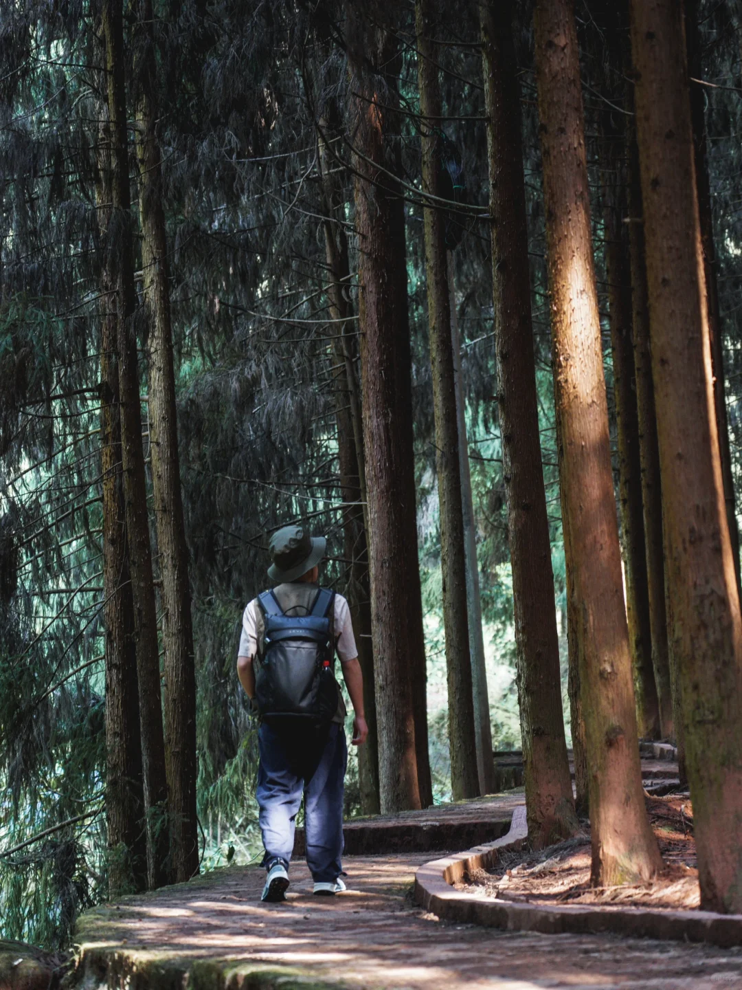 《国家地理》没骗我！被低估的宝藏小城实锤了