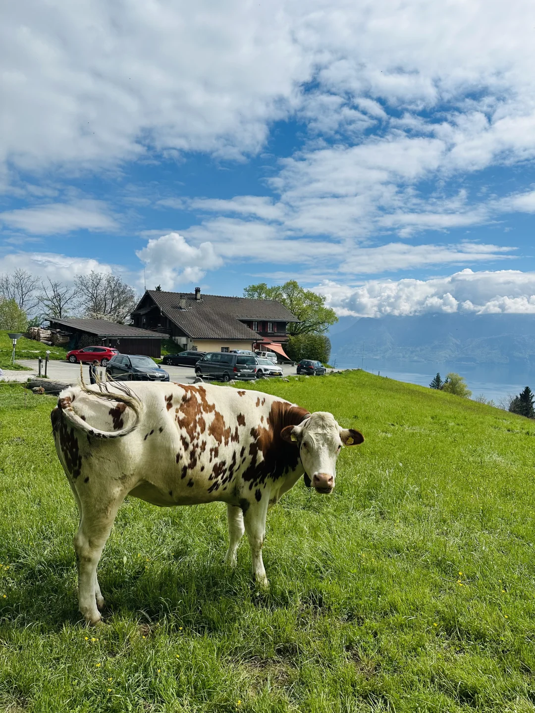 在瑞士不知名的湖边重新定义湖光山色