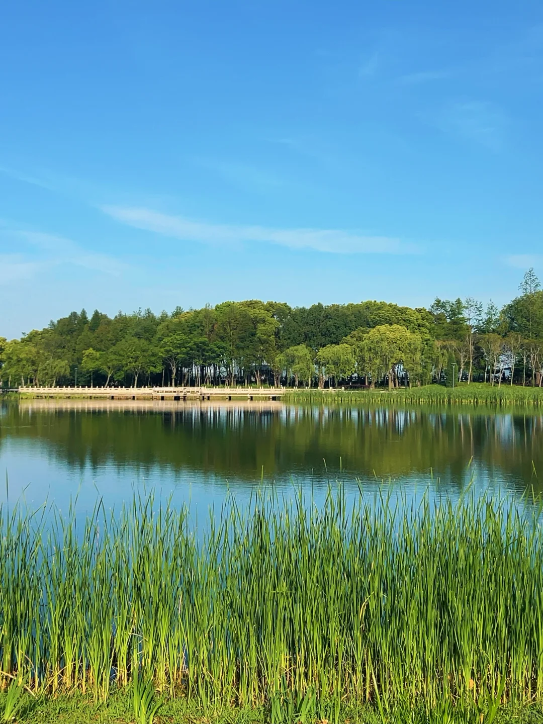 在无锡📍没有天花板的地方感受春天