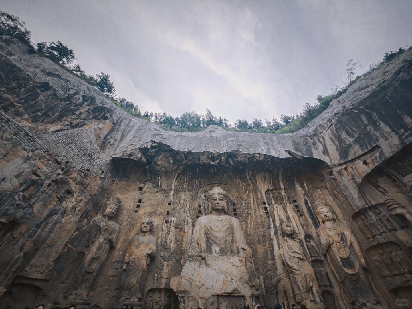 风起洛阳,梦入神都🏯