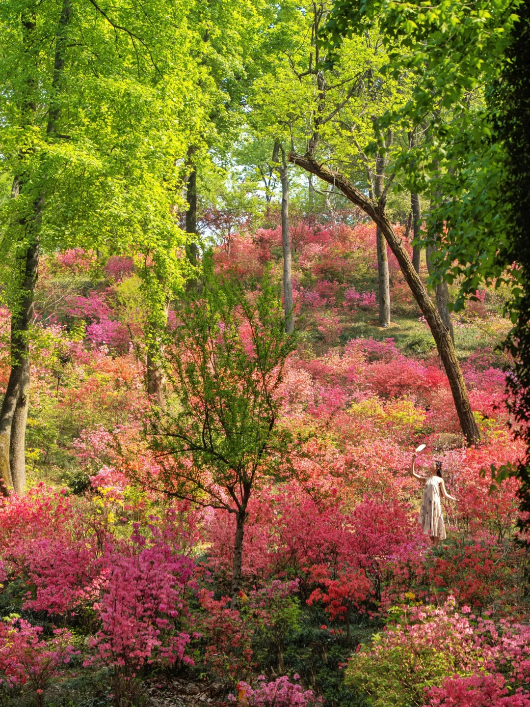 以为婺源已经够美了 直到我去了这个小镇🍃