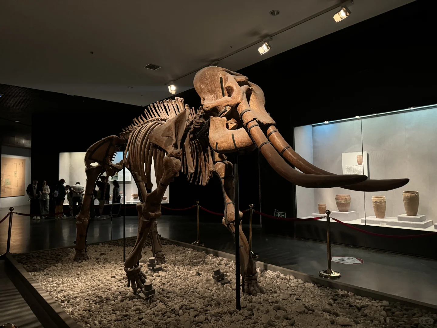 风起洛阳,梦入神都🏯