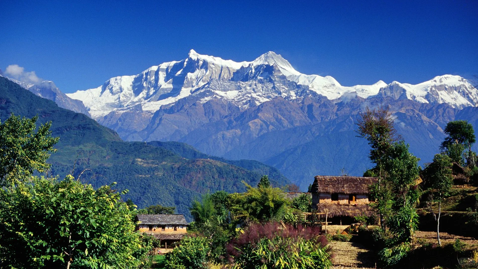 《🌟旅行，让梦想照进现实》