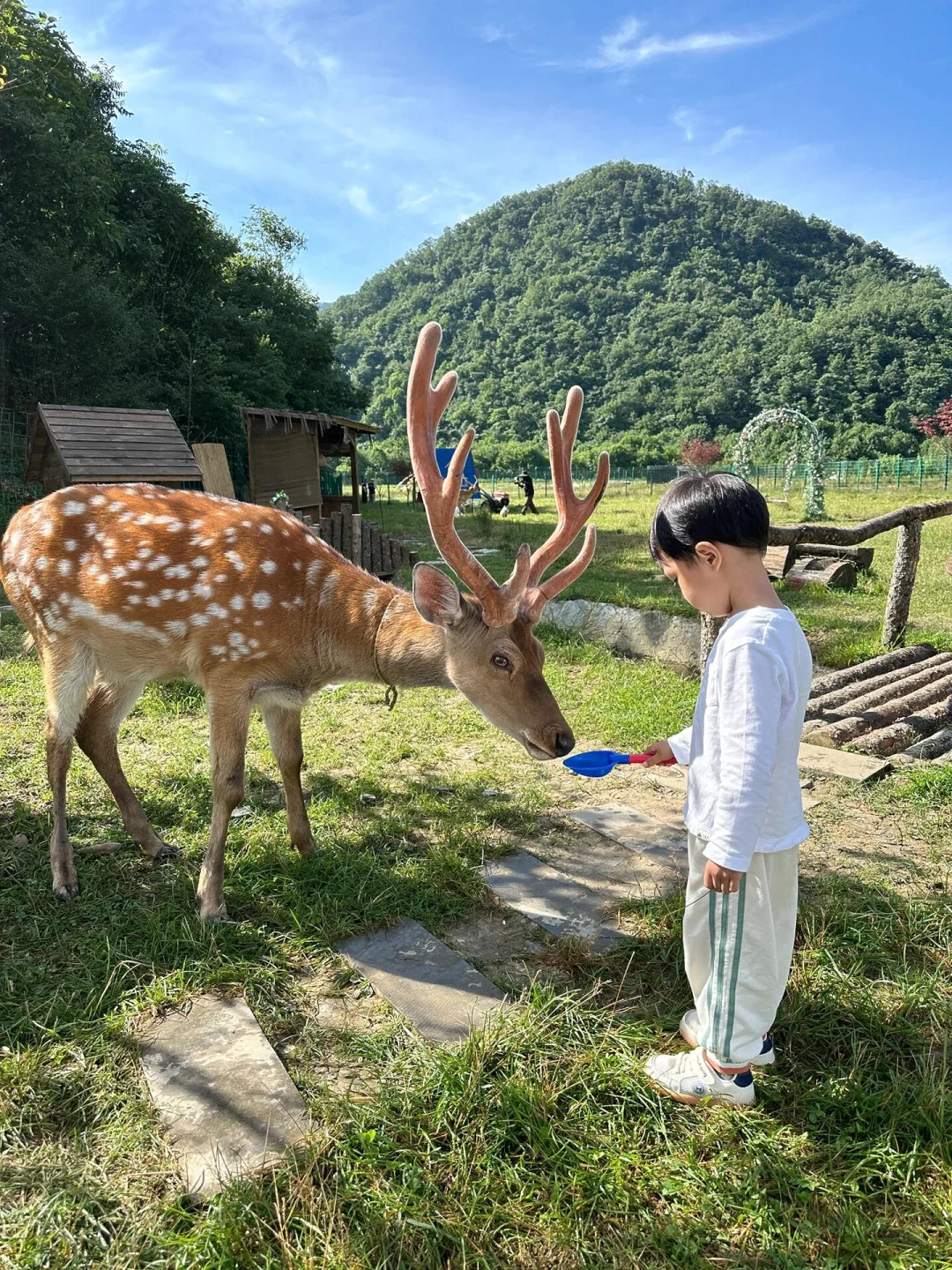 在崇左和恩施之间选择了恩施，冷门带娃绝了