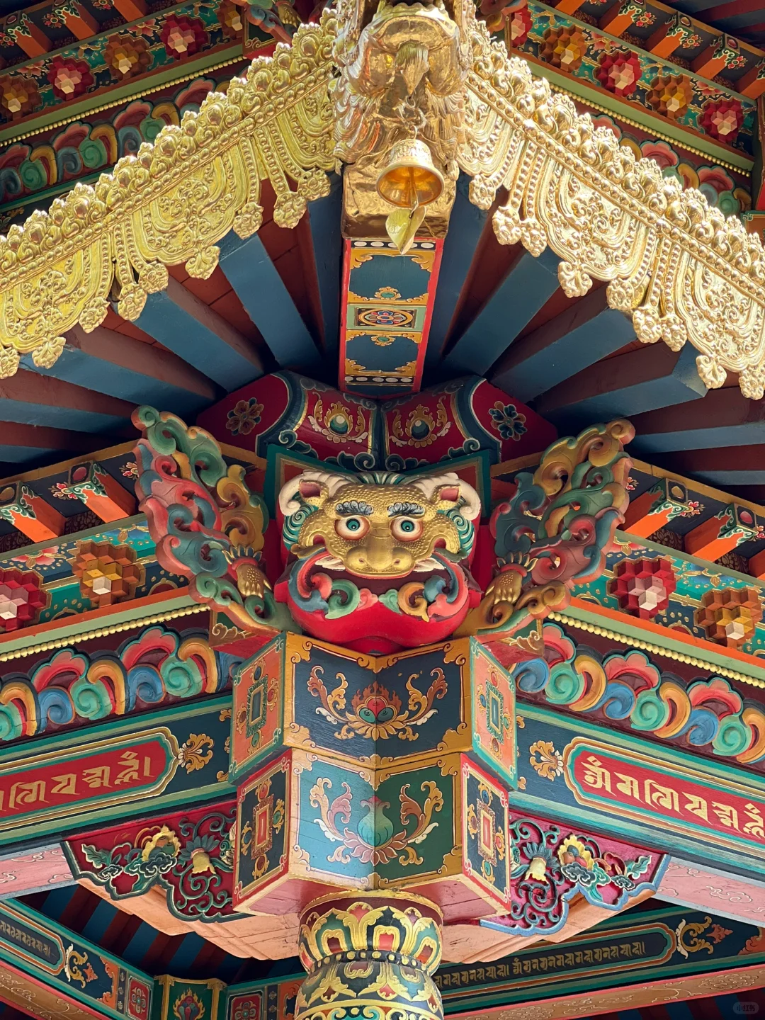 日常｜这两天所遇之美