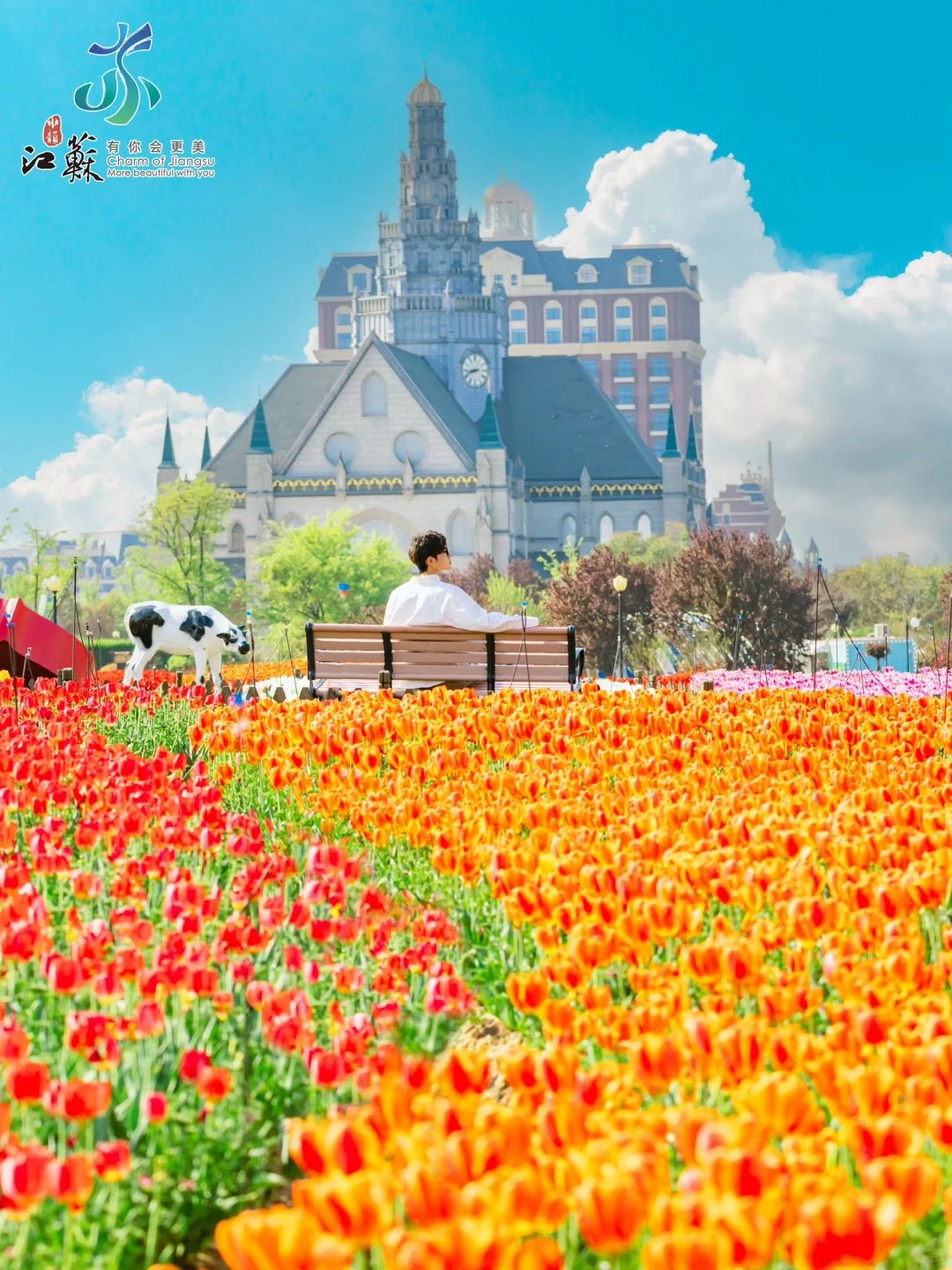 朋友圈问疯了，真没去欧洲，在盐城‼️