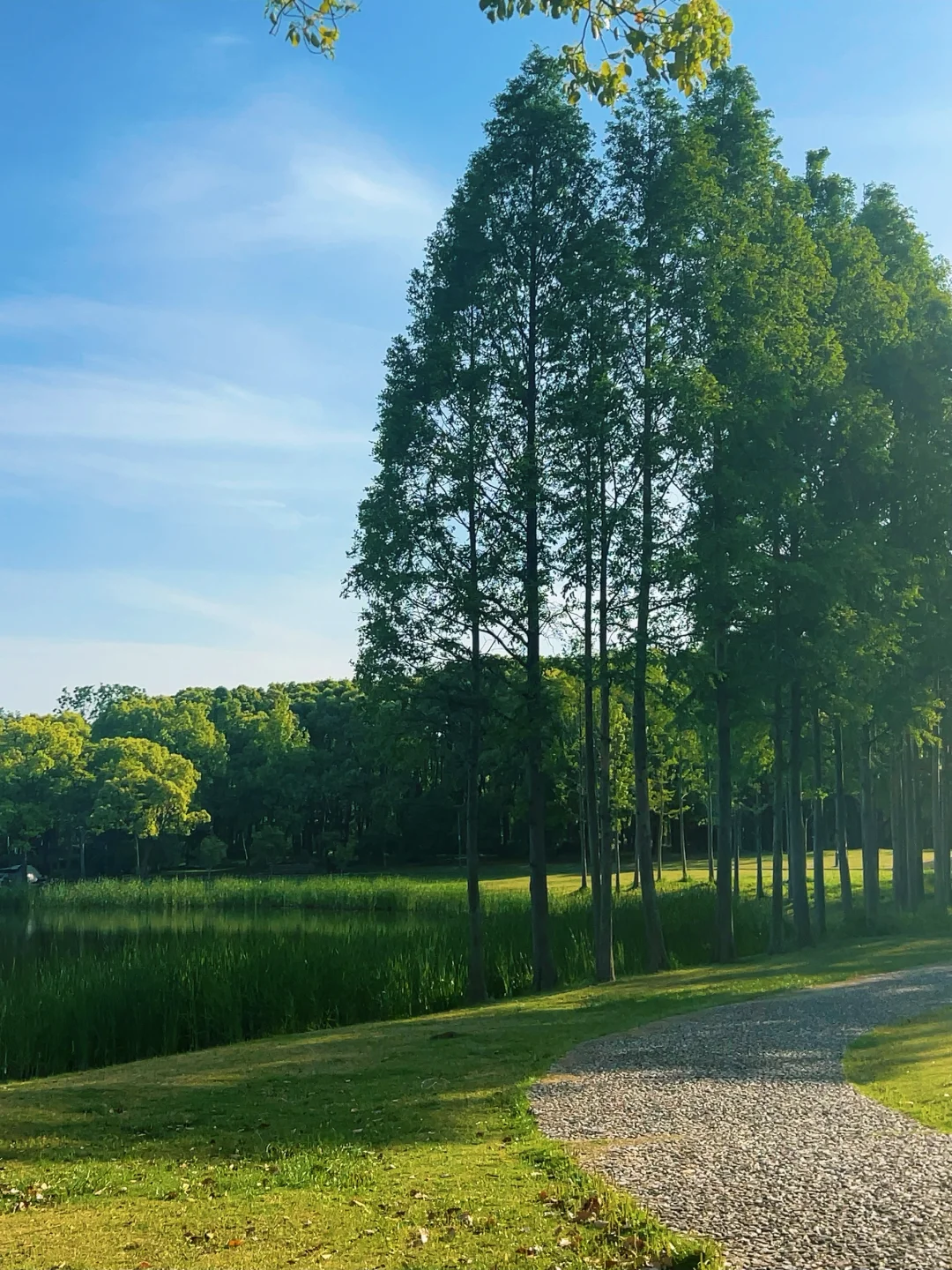 在无锡📍没有天花板的地方感受春天