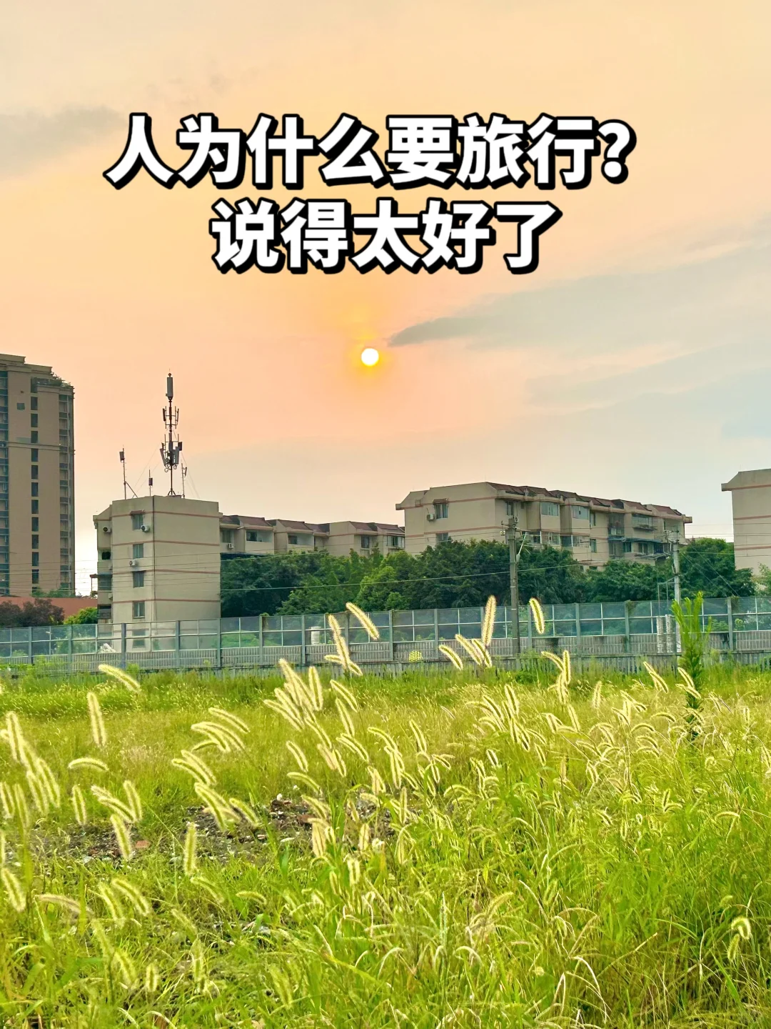 人为什么要旅行，说得太好了！