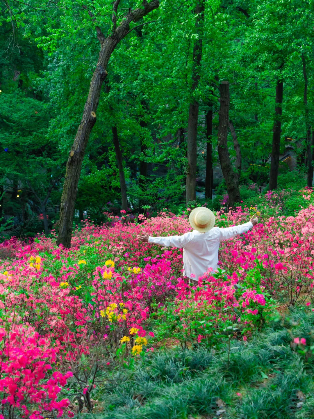 我要反向旅游丨以为宏村已经够美了，直到..