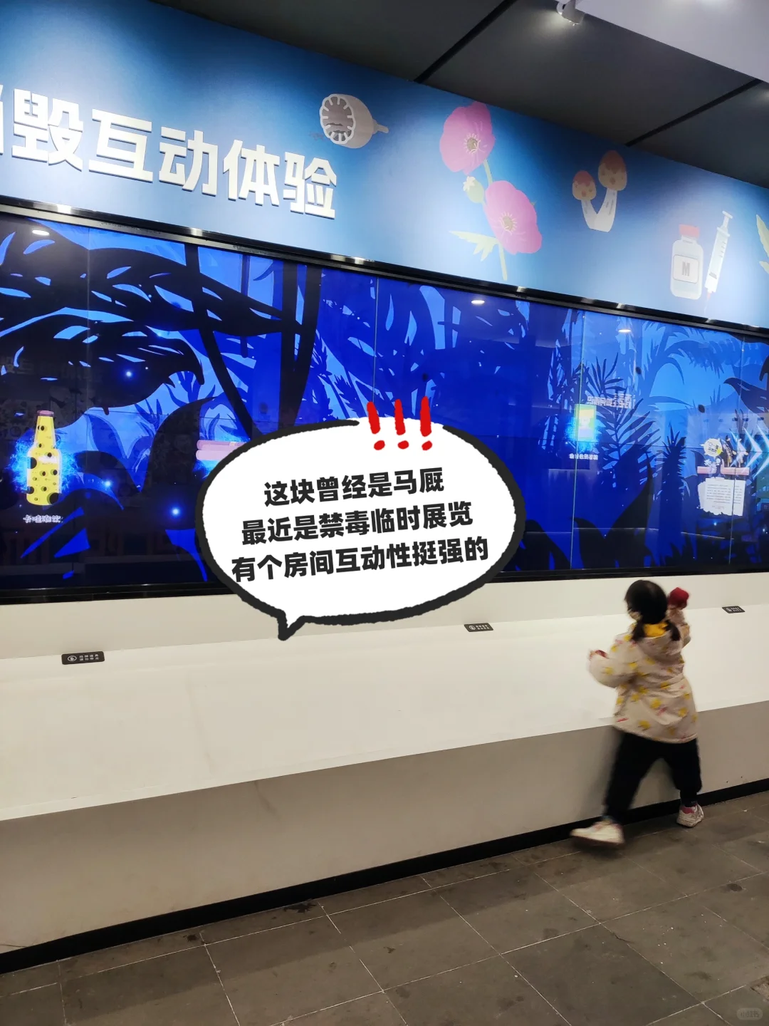 这册子含金量真高!娃在南京总统府学到很多