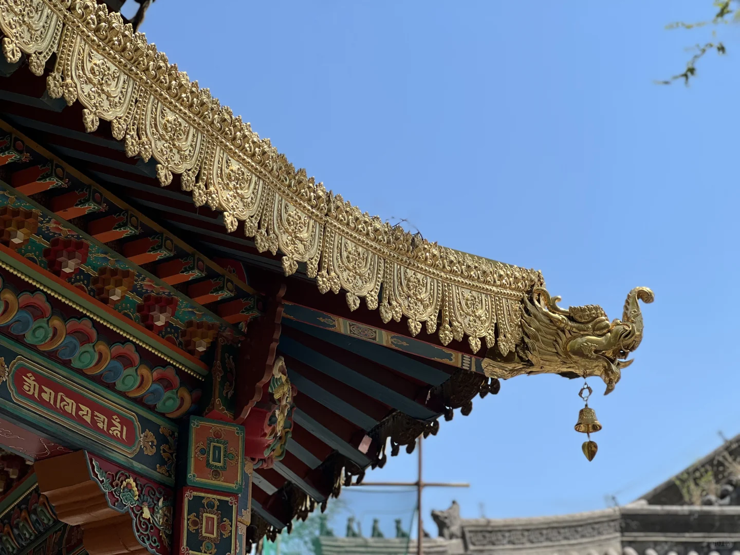 日常｜这两天所遇之美