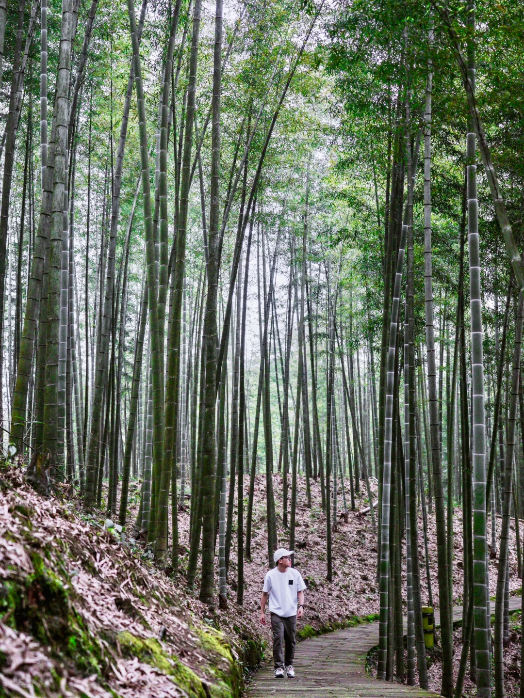 《国家地理》没骗我！被低估的宝藏小城实锤了