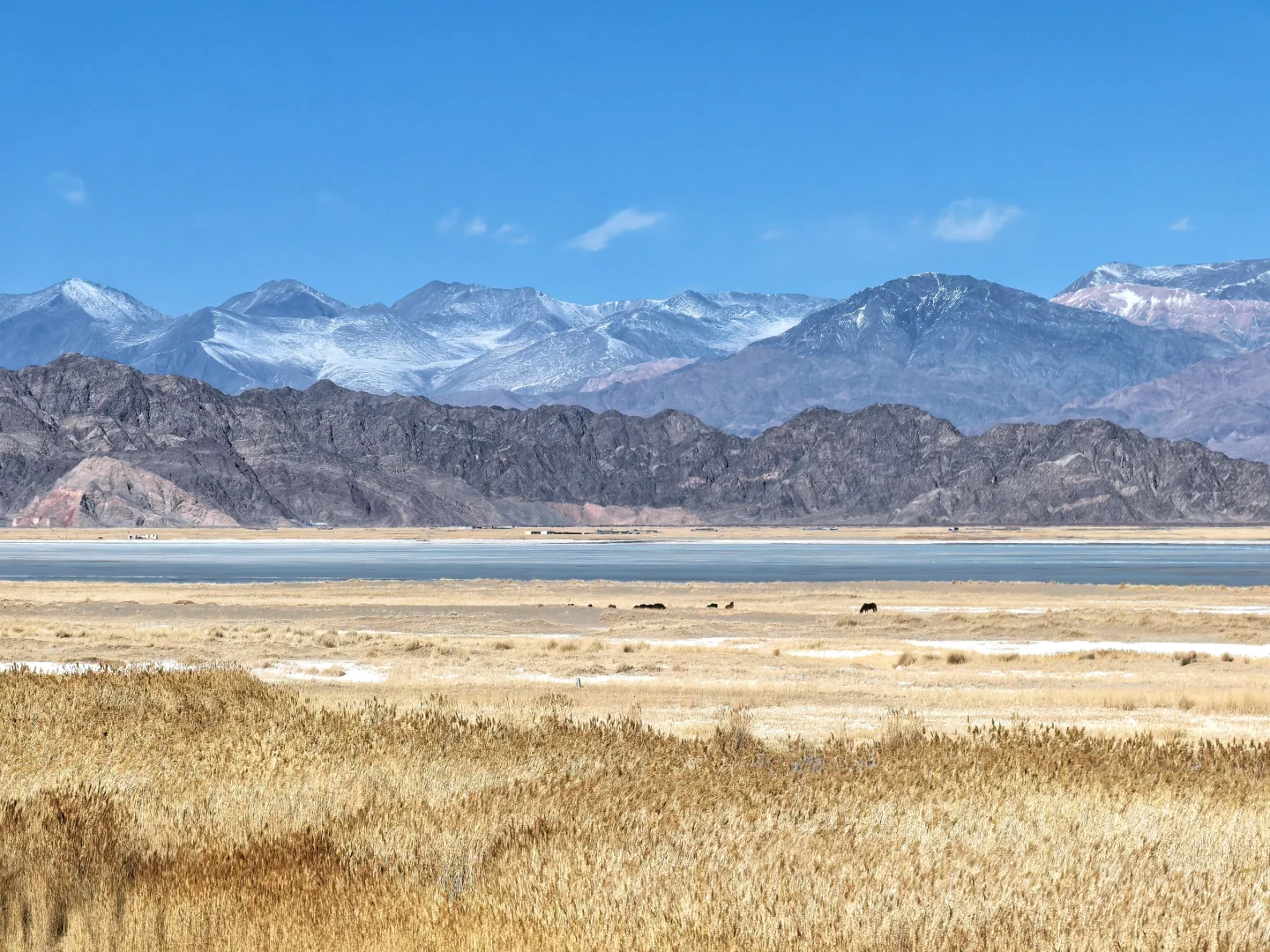 姑娘一人独闯大西北｜五日自由行攻略