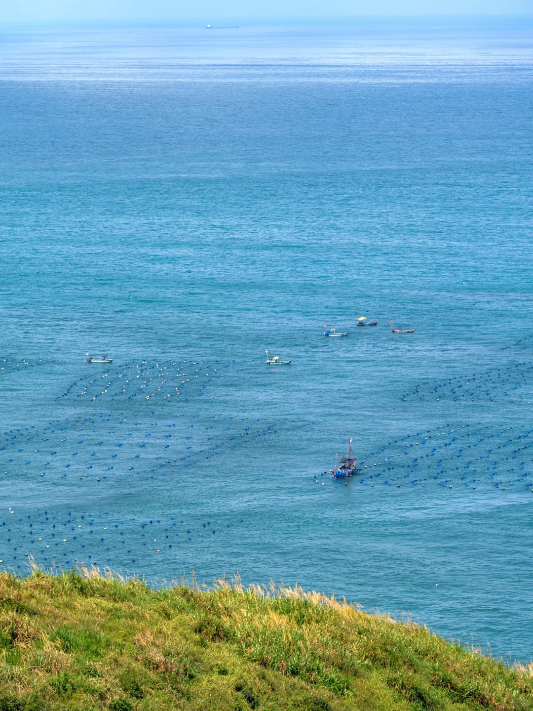 我宣布！这是上海周边最美的蓝色海岛！