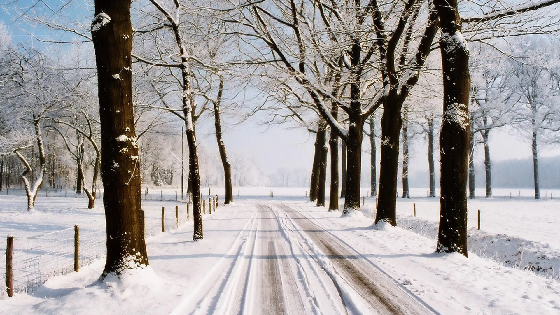 《🌟旅行，让梦想照进现实》