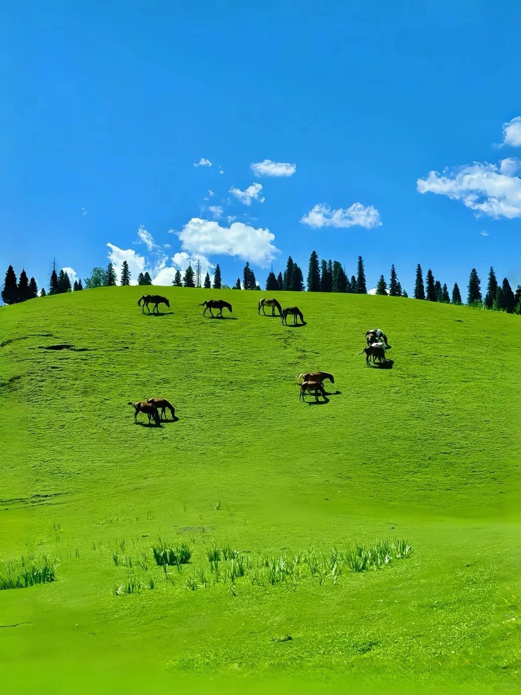 🌈闯进川西🔍邂逅被上帝私藏的美景🥰