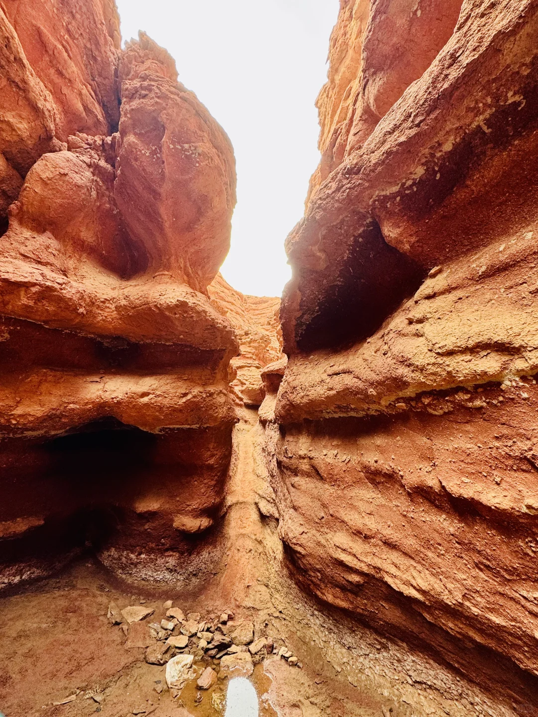 大西北的美在这里了！🪂