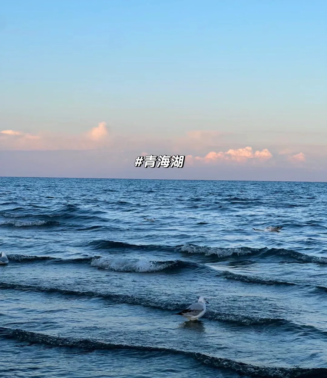 4-8月旅游就去青甘环线🌈