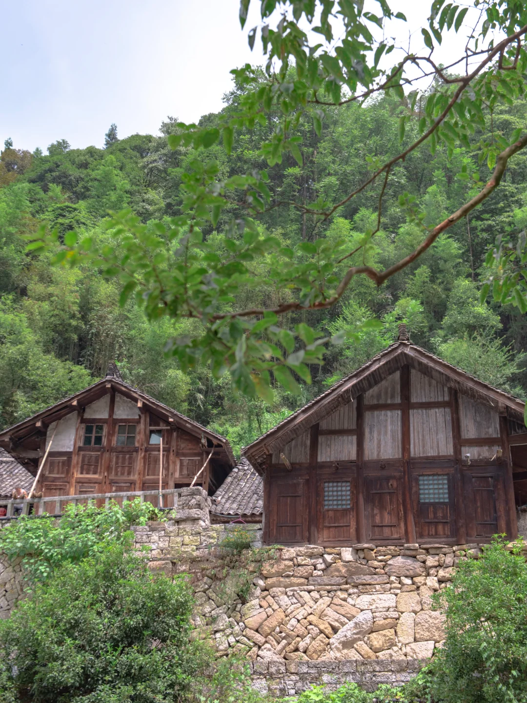 反向冷门旅游，成都高铁2小时的松弛小城