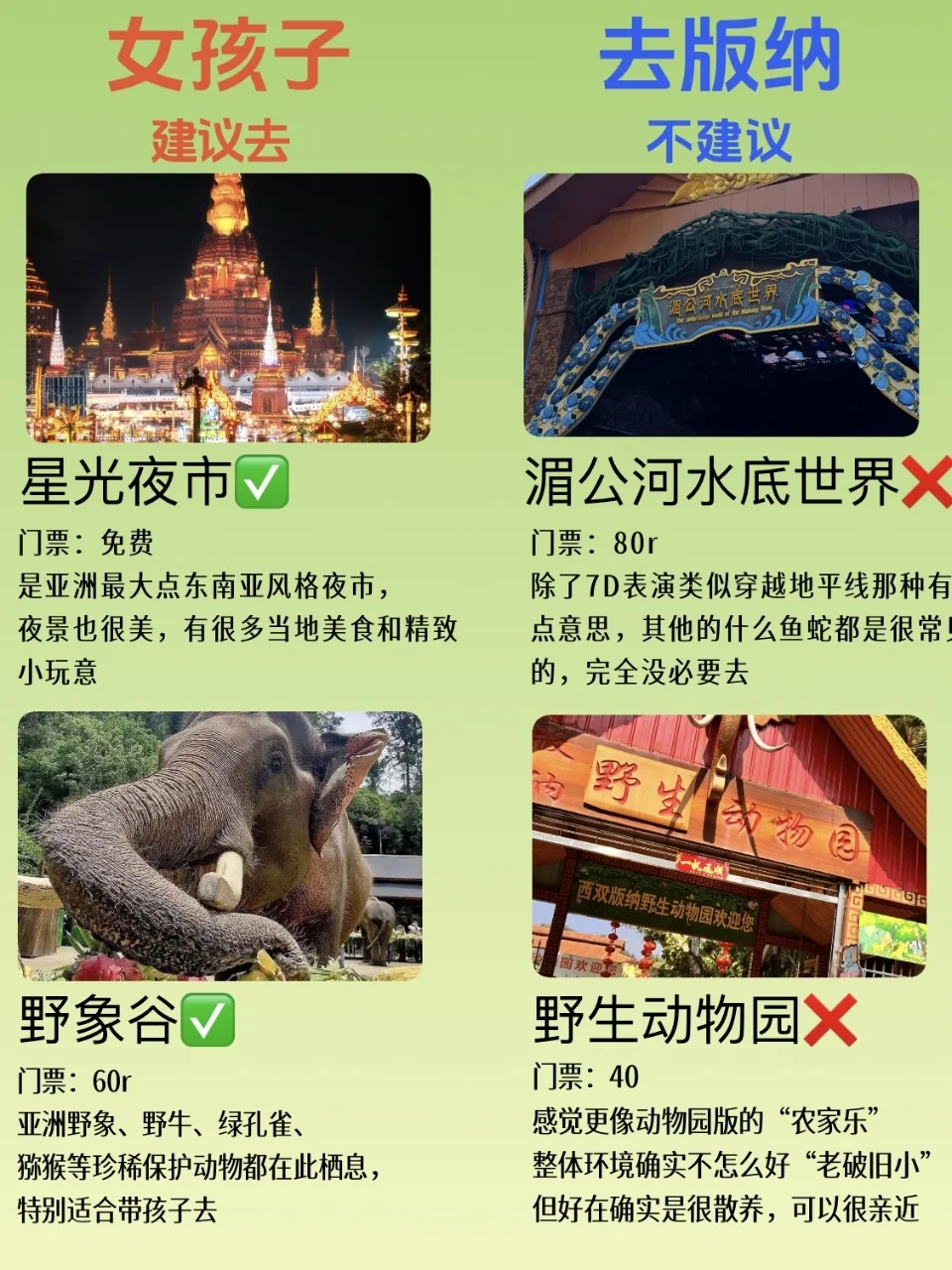 👧女孩第一次去西双版纳保姆级旅游攻略