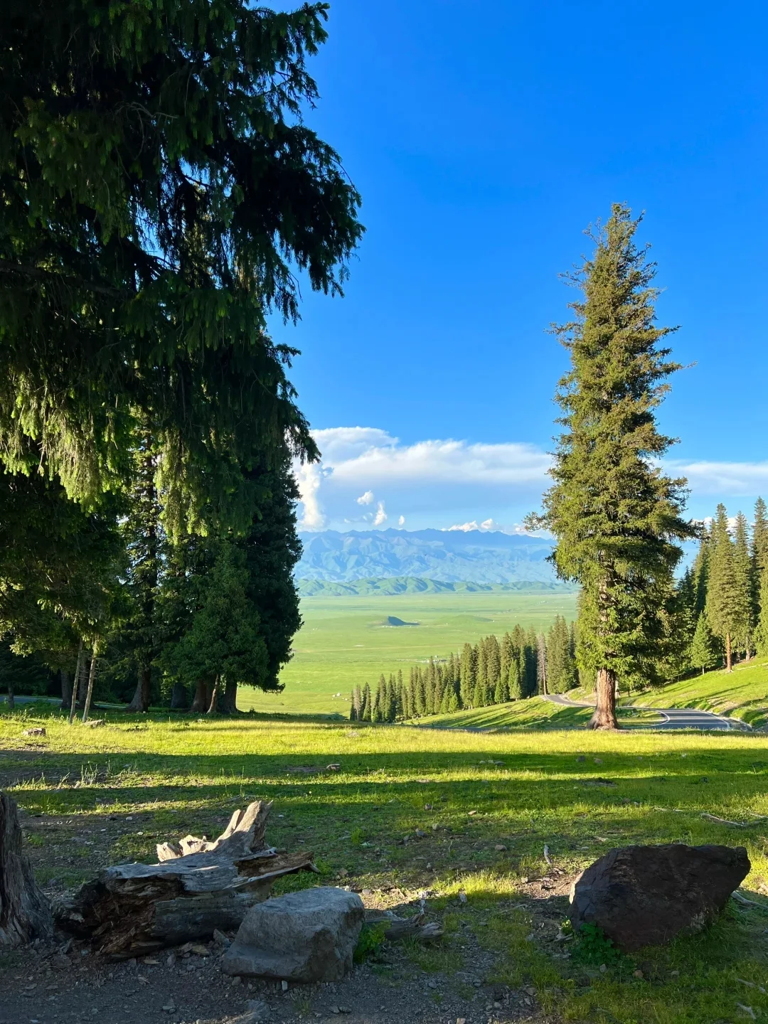 为什么五一要去新疆旅行啊😰。。。。。。