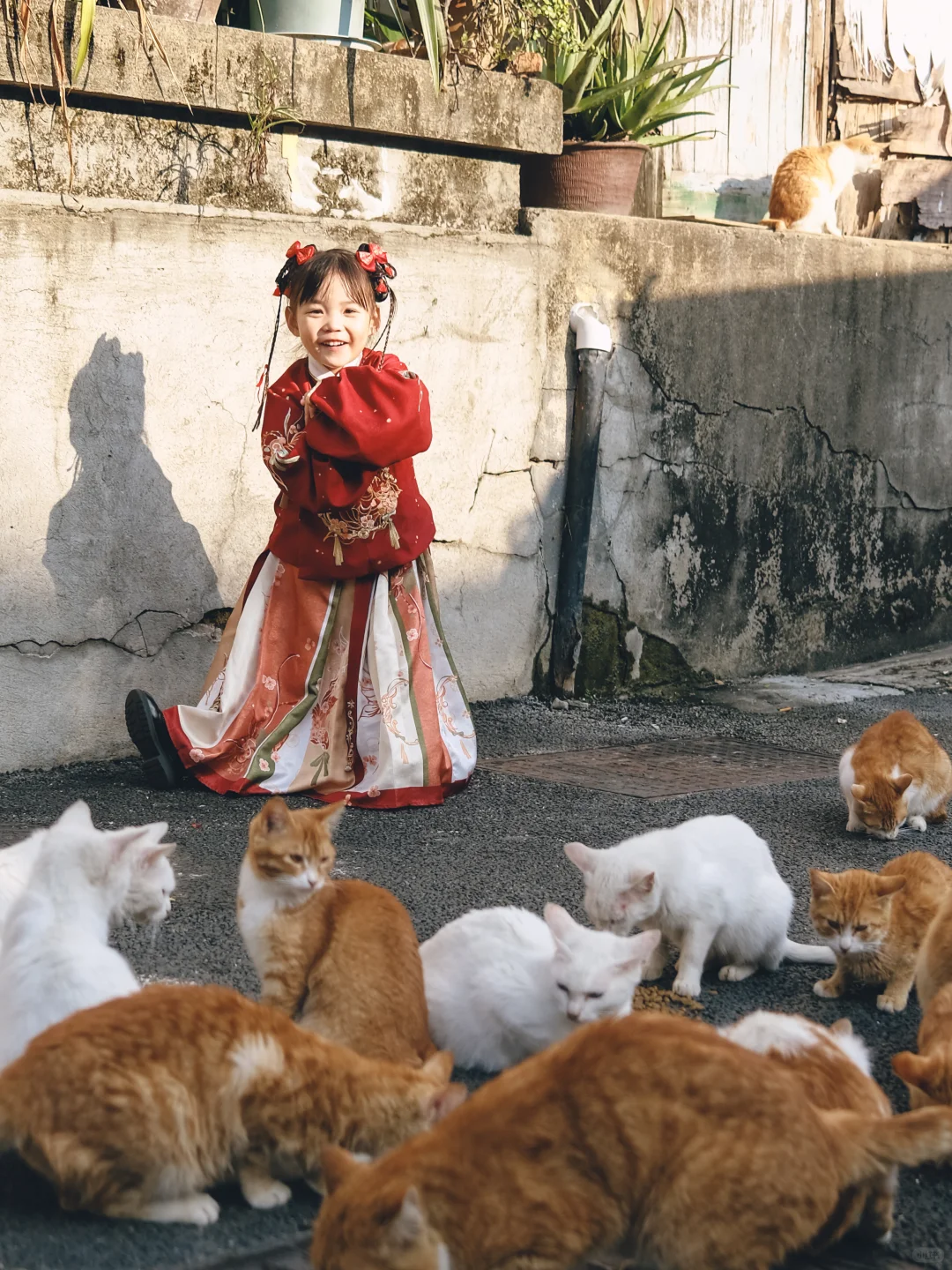 厦门旅游只待三天，建议无脑COPY这条路线