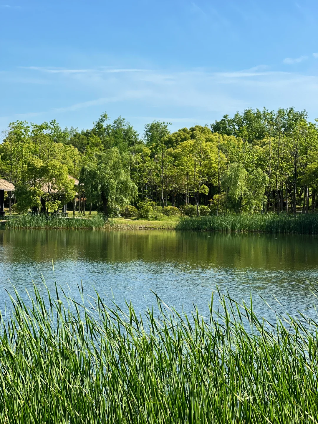 在无锡📍没有天花板的地方感受春天