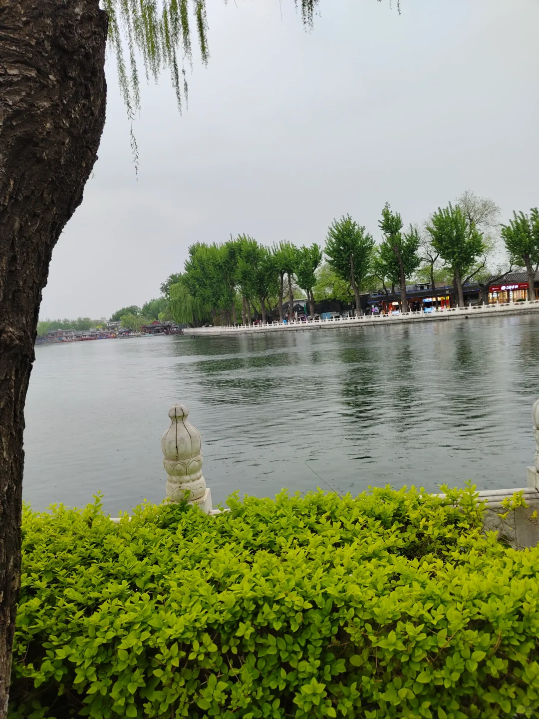 腿已走断 地铁坐穿 脸吹焦干 身份证掏烂