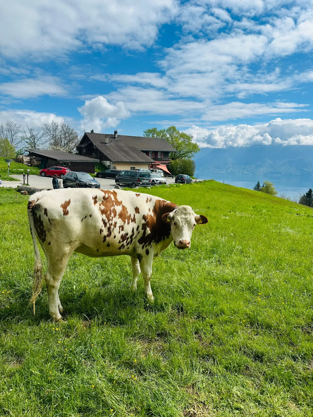 在瑞士不知名的湖边重新定义湖光山色