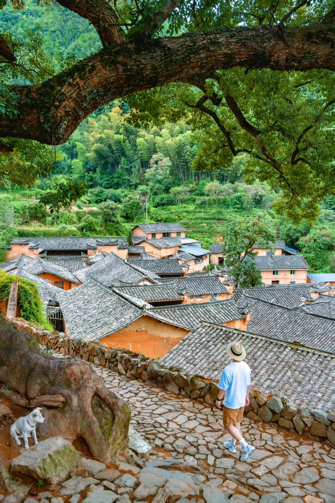 五一反向游，推荐一个冷门且舒服的宝藏小城