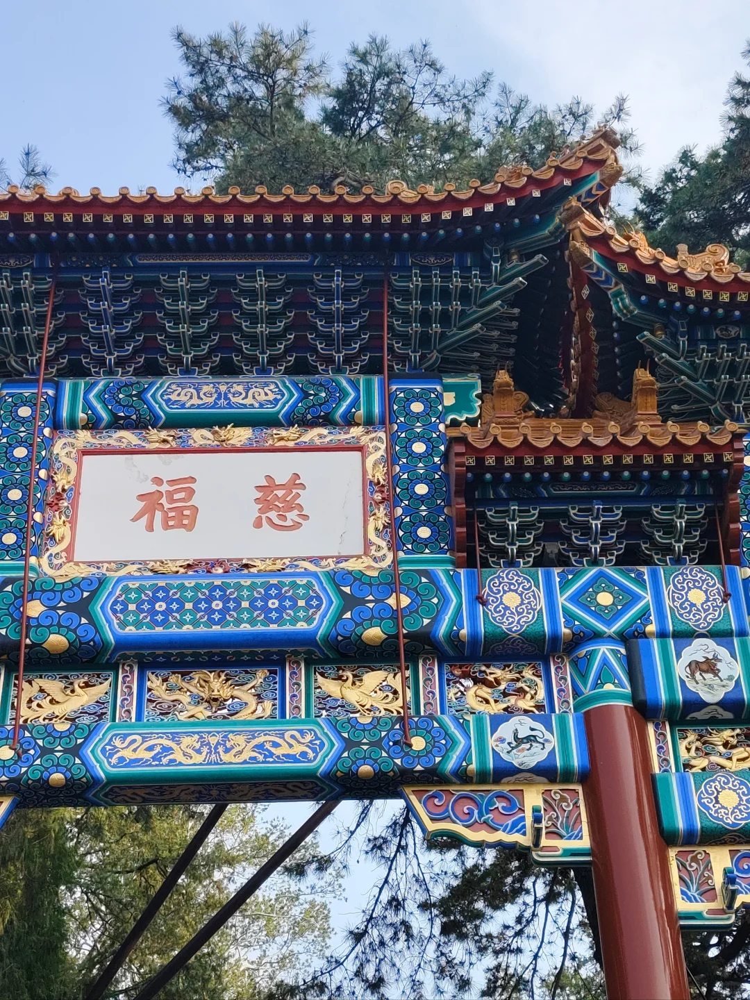 腿已走断 地铁坐穿 脸吹焦干 身份证掏烂