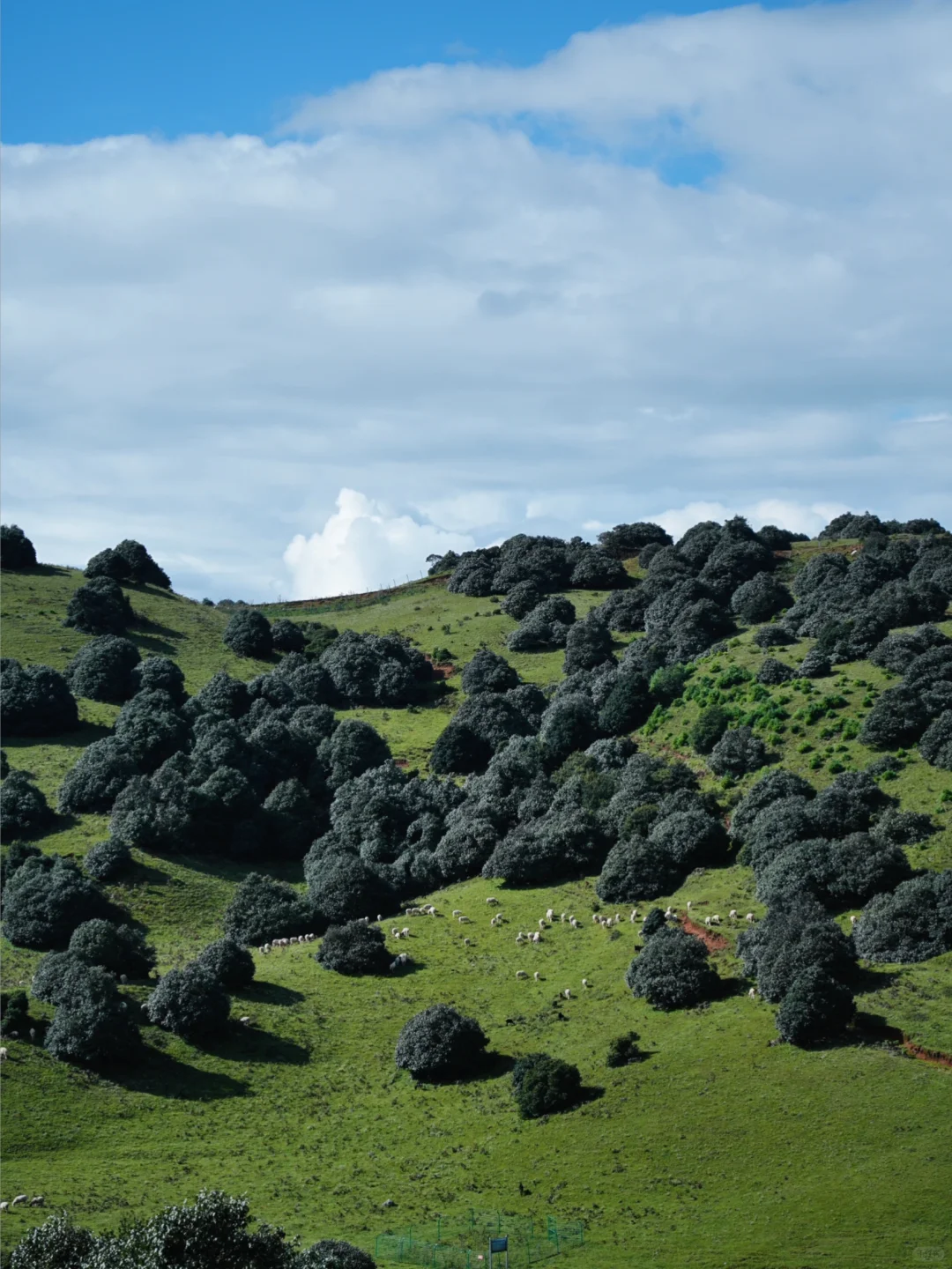 大理旅居一年，我私藏的5️⃣个冷门小众好去处