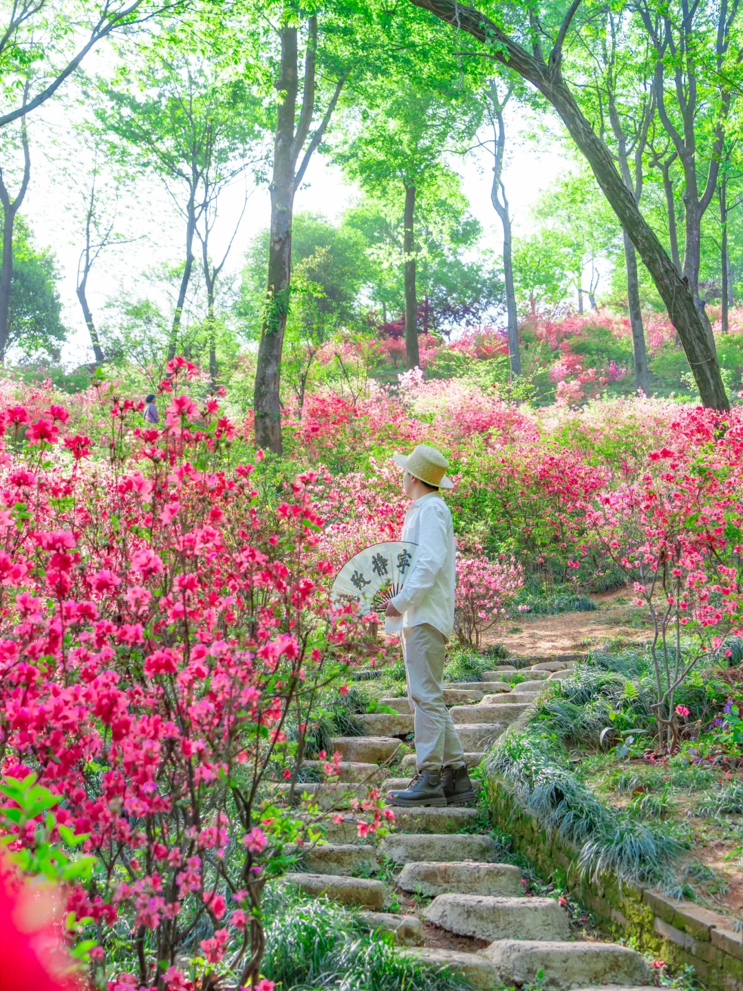我要反向旅游丨以为宏村已经够美了，直到..