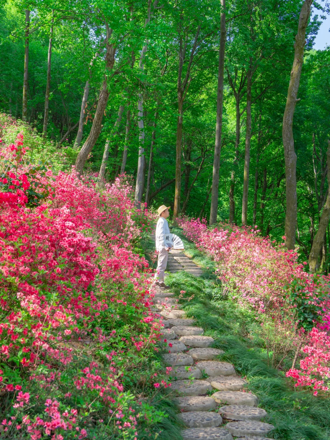 我要反向旅游丨以为宏村已经够美了，直到..