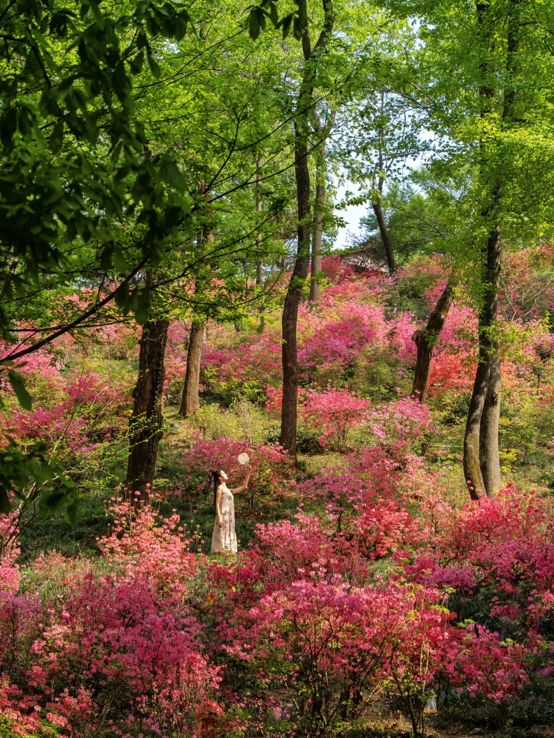 以为婺源已经够美了 直到我去了这个小镇🍃
