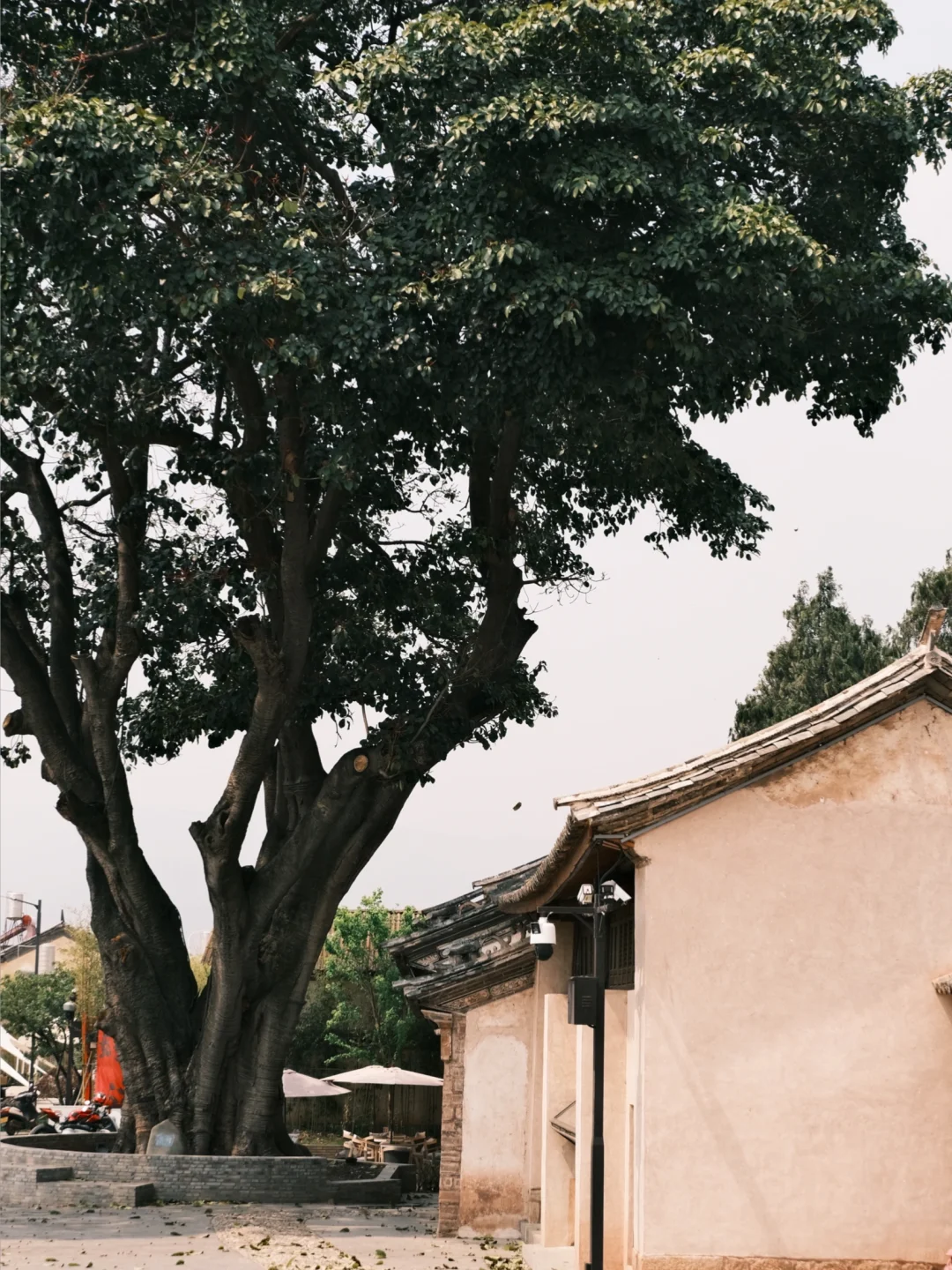 大理旅居一年，我私藏的5️⃣个冷门小众好去处