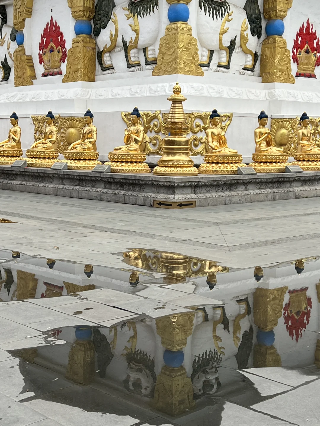 日常｜这两天所遇之美