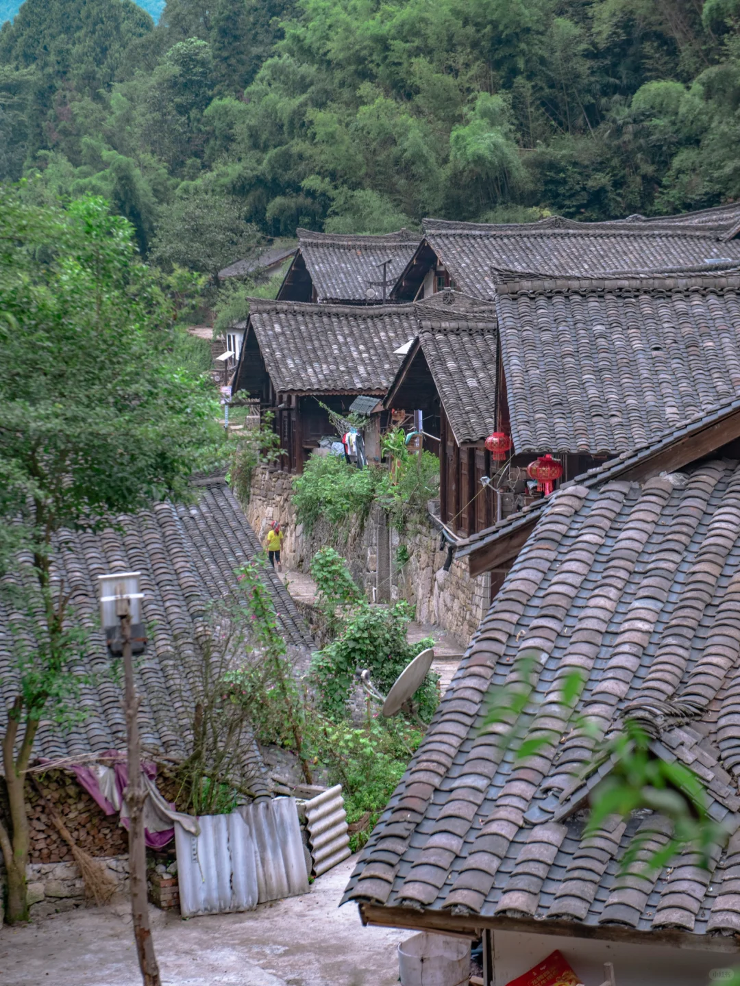 反向冷门旅游，成都高铁2小时的松弛小城
