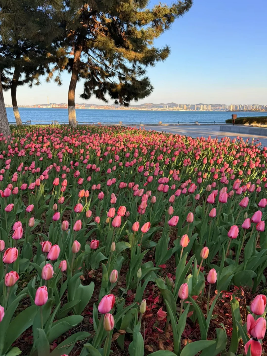 威海会奖励每一个提前做攻略的人❗️ 4月-5月