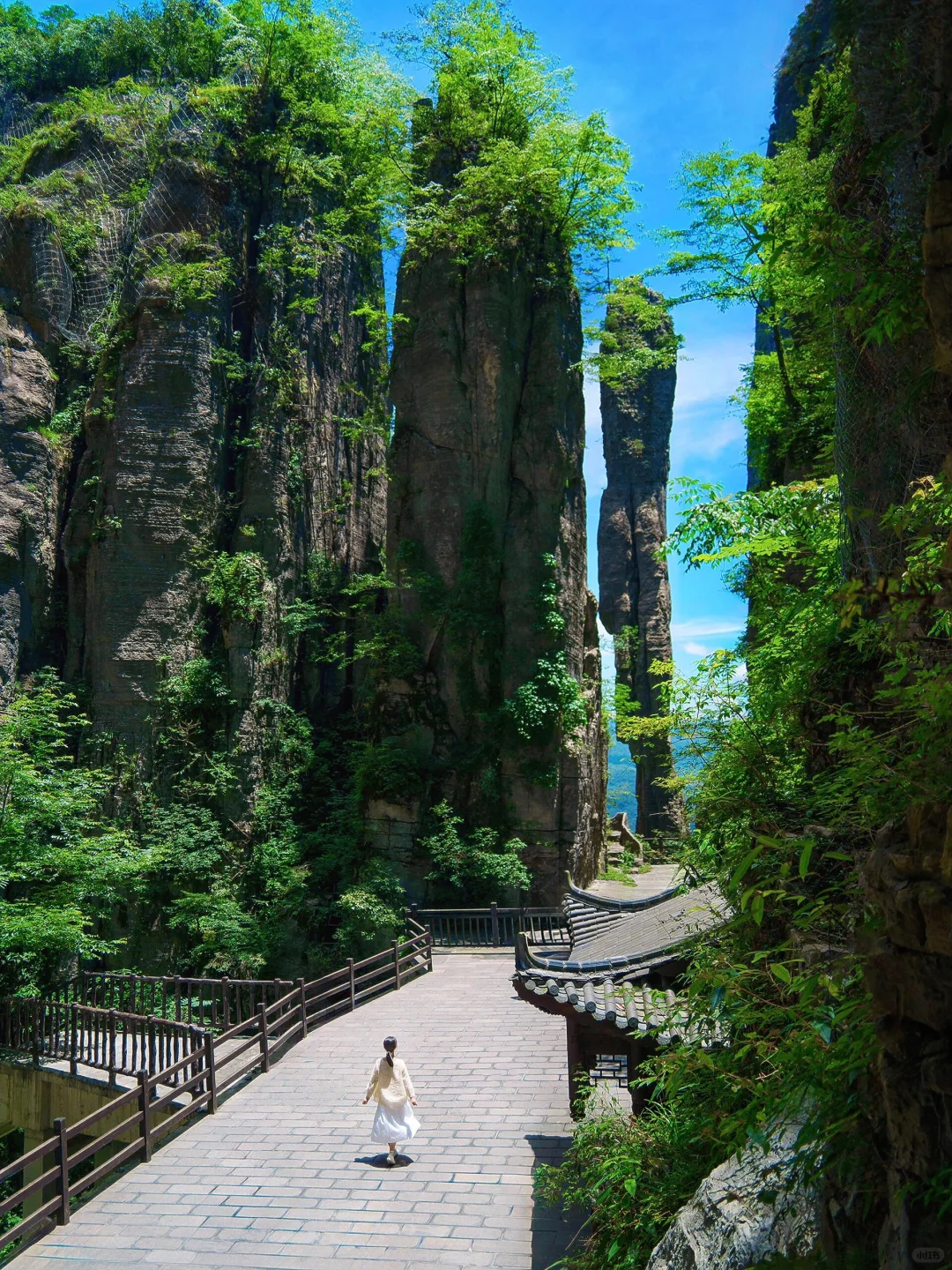 在崇左和恩施之间选择了恩施，冷门带娃绝了