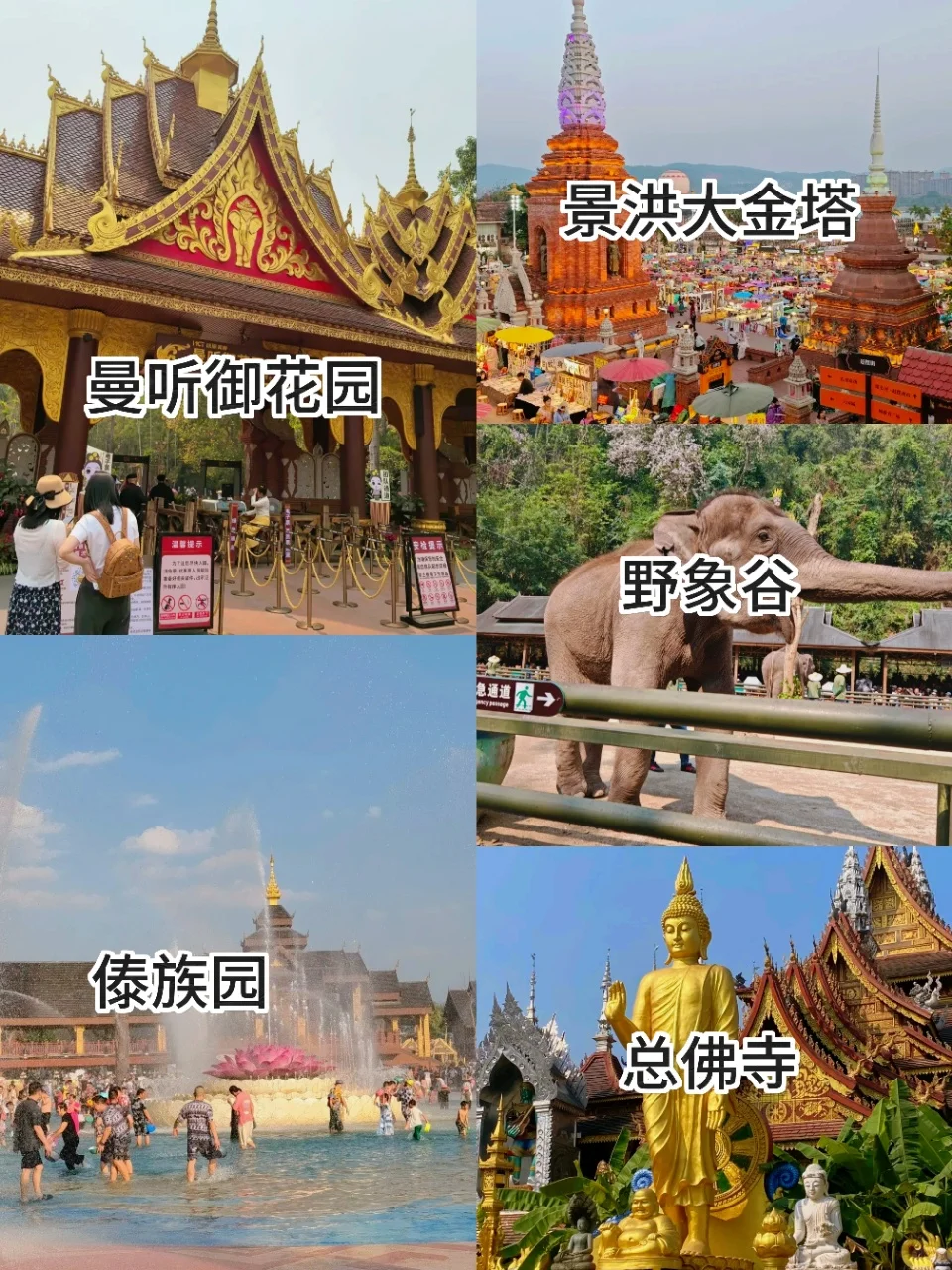 👧女孩第一次去西双版纳保姆级旅游攻略