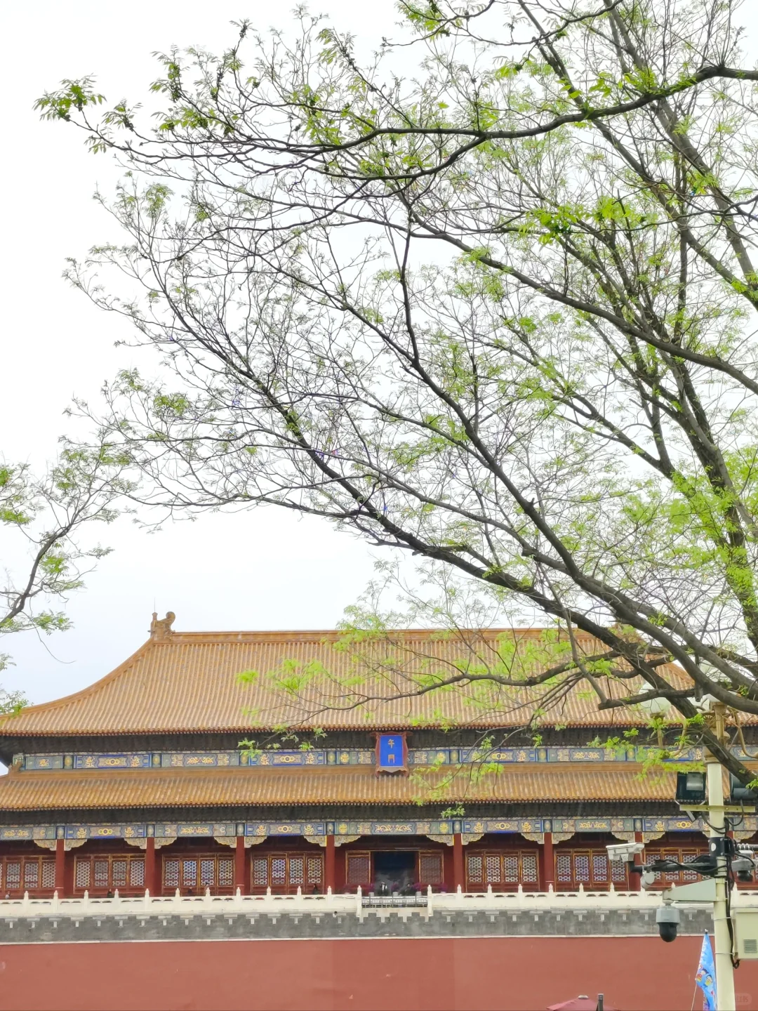 腿已走断 地铁坐穿 脸吹焦干 身份证掏烂