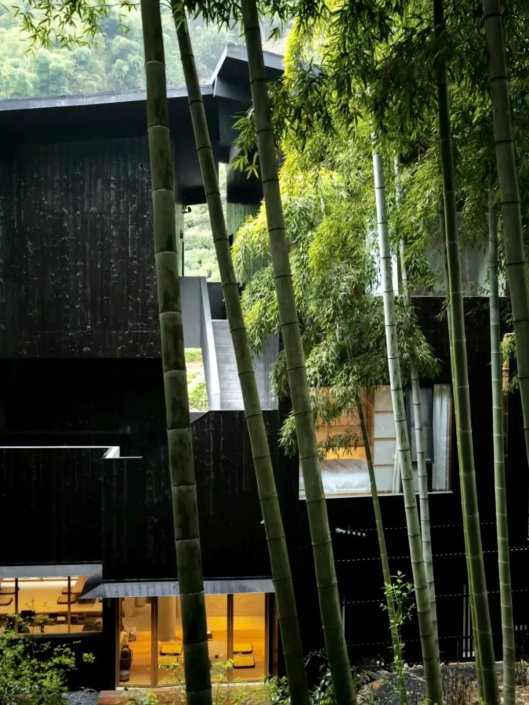 在莫干山！感谢网友推荐🙏999连住3天美哭了！