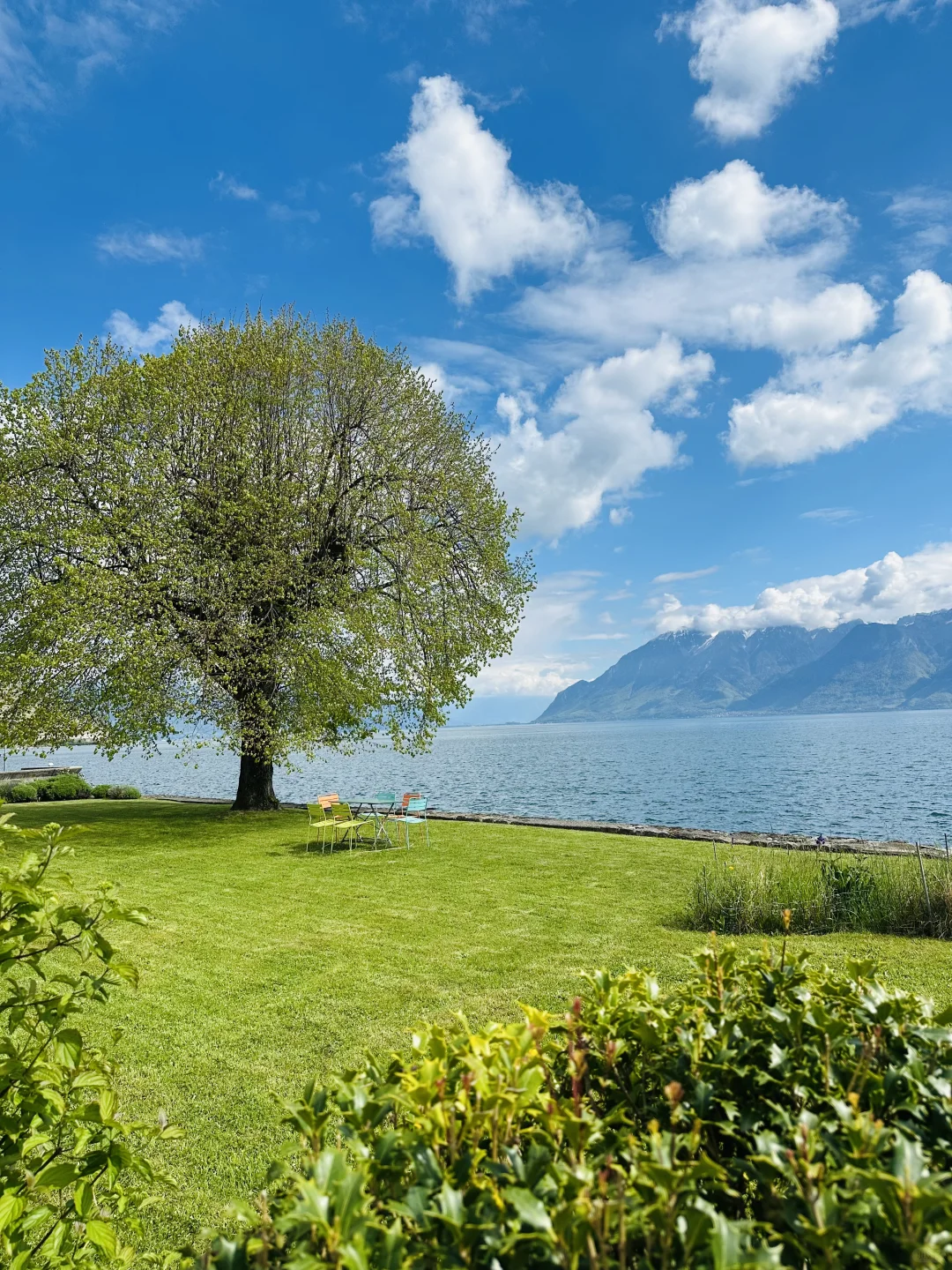 在瑞士不知名的湖边重新定义湖光山色