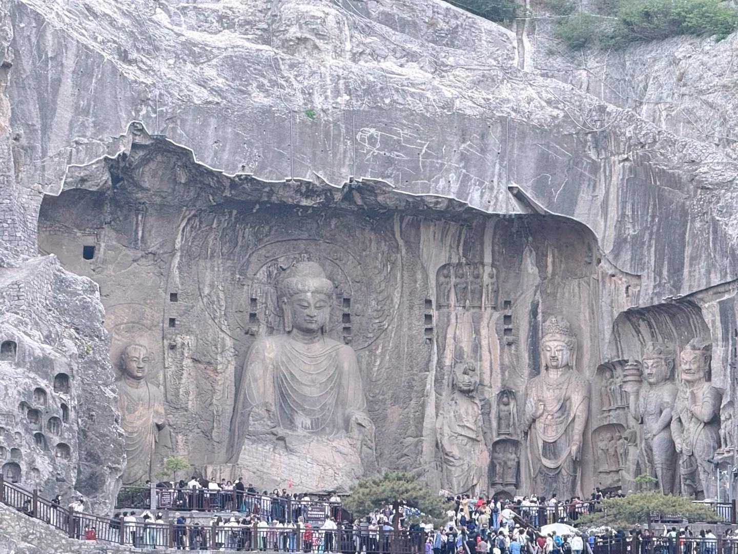 风起洛阳,梦入神都🏯