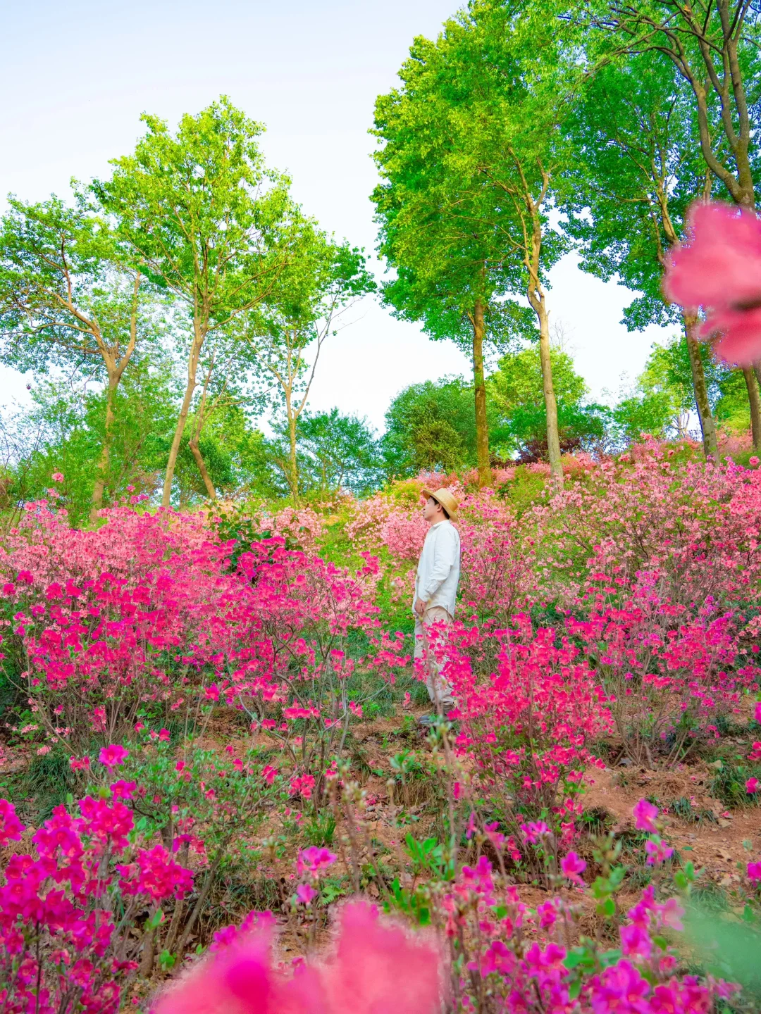 我要反向旅游丨以为宏村已经够美了，直到..