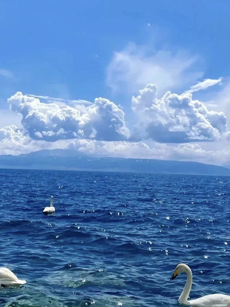 赛里木湖！一眼就被这变幻蓝调勾了魂‼️