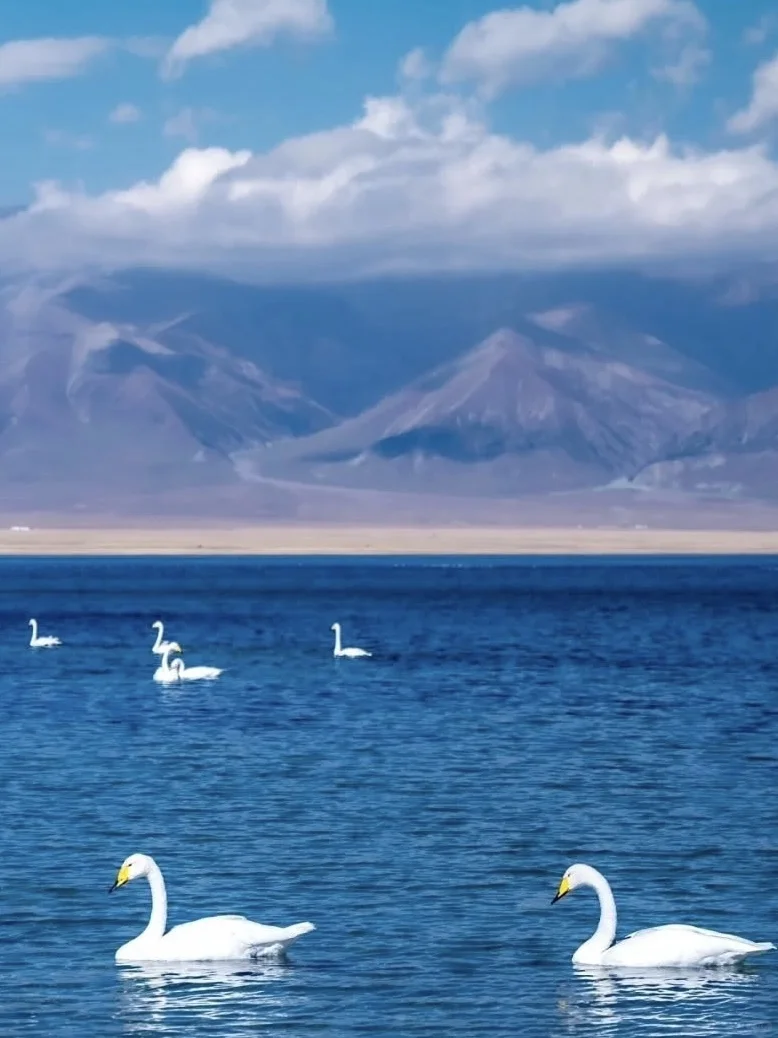 赛里木湖！一眼就被这变幻蓝调勾了魂‼️