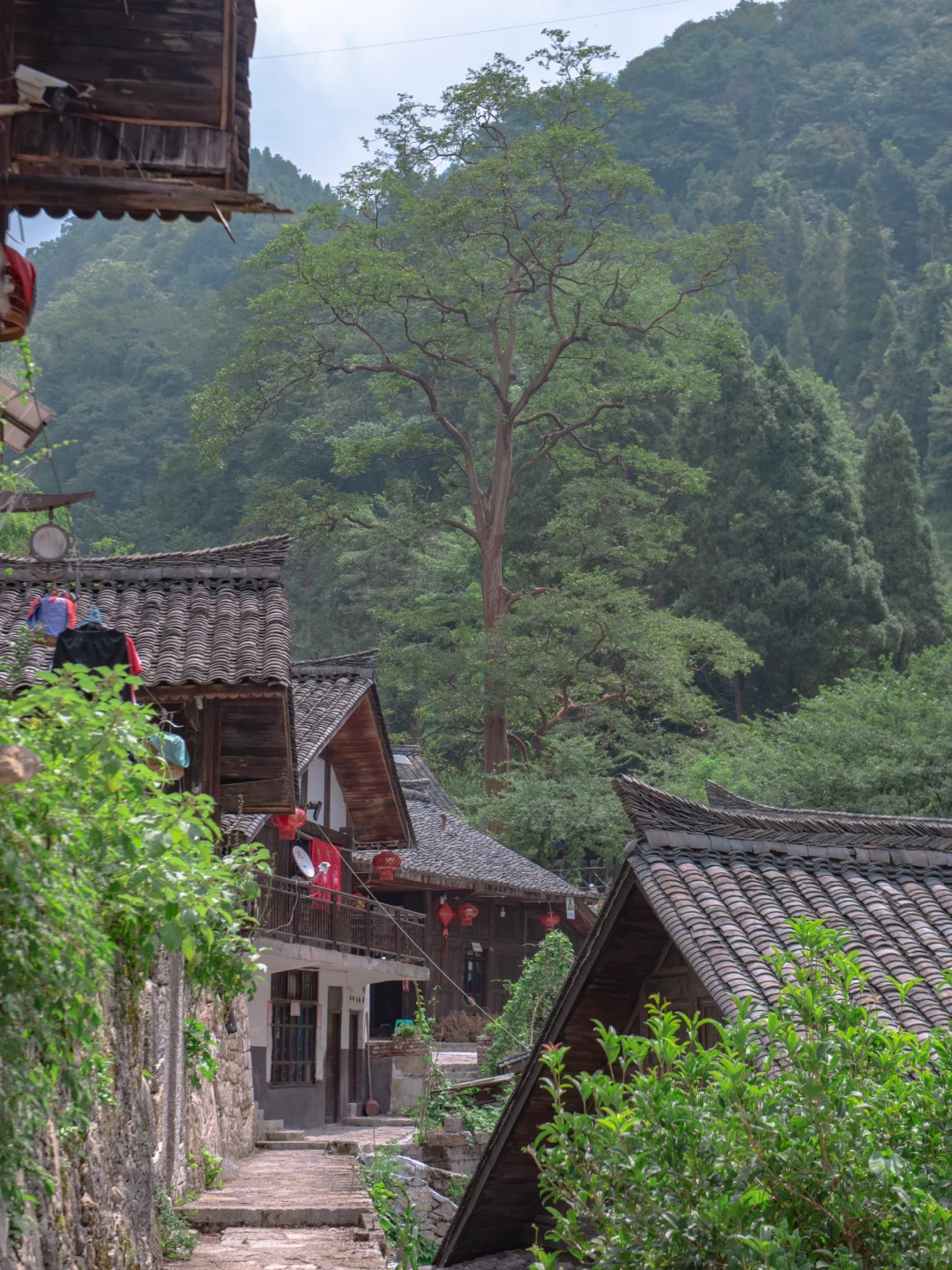 反向冷门旅游，成都高铁2小时的松弛小城