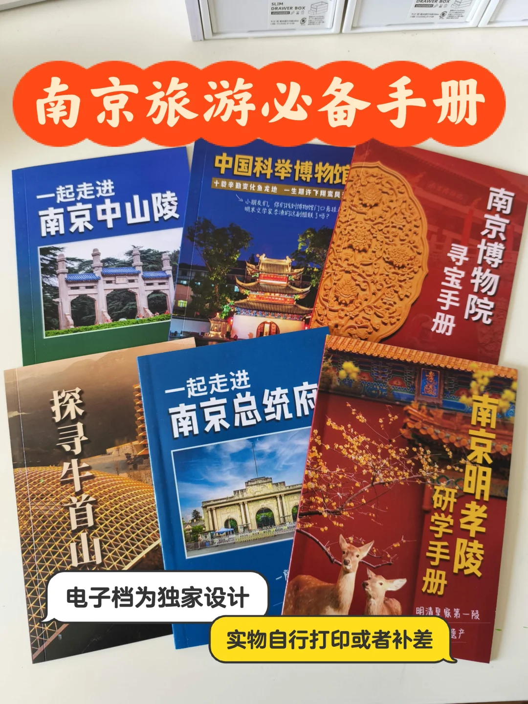 竟然有这么详细的南京明孝陵旅游研学手册